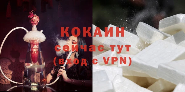 дживик Верхний Тагил