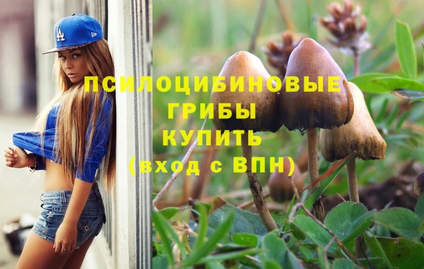 дживик Верхний Тагил