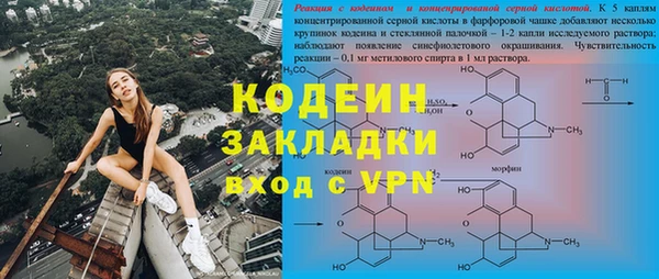 дживик Верхний Тагил
