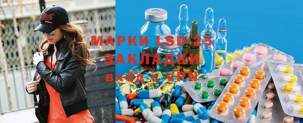 spice Верея