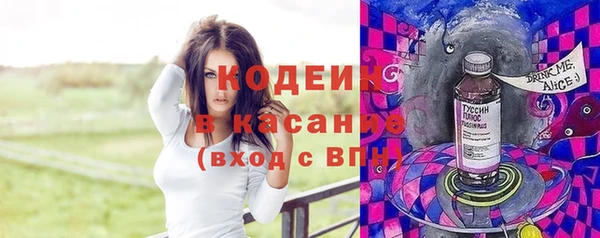 дживик Верхний Тагил